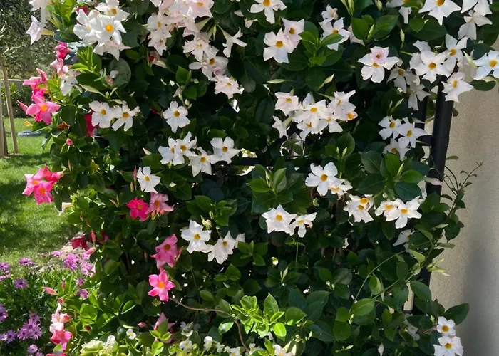 Appartamento 5d Kaštela